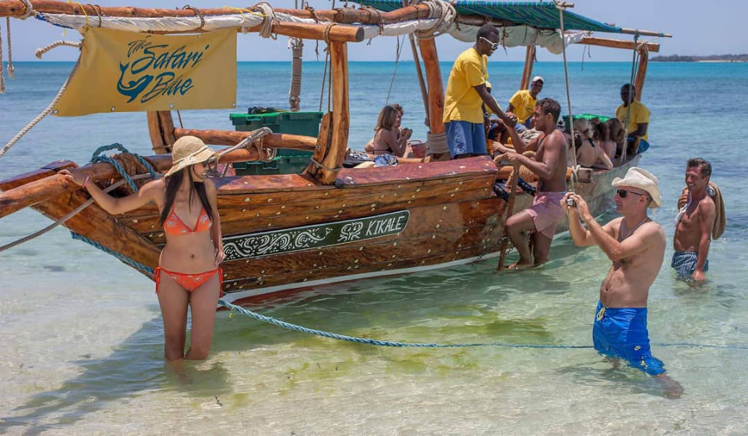 Safari Blue Picknick